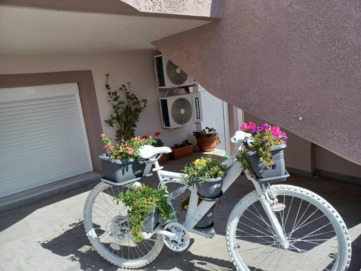Appartement Comfort House Mimosa 1